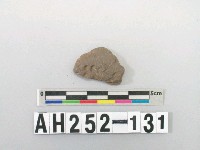 藏品(灰色夾砂陶片)的圖片